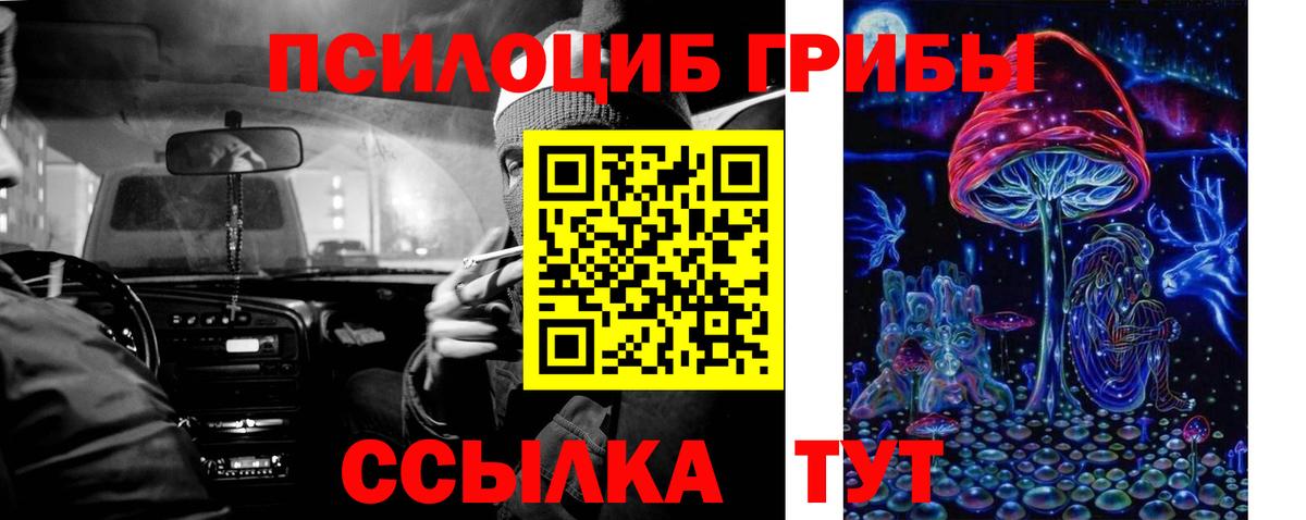 Артём  где купить   Вход с VPN  Галлюциногенные грибы Psilocybine cubensis 